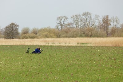 BUITEN BEELD Foto: 207075