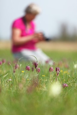 BUITEN BEELD Foto: 207077