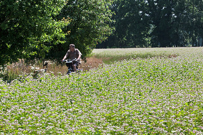 BUITEN BEELD Foto: 207155