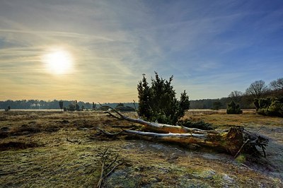 BUITEN BEELD Foto: 207166