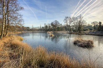 BUITEN BEELD Foto: 207167