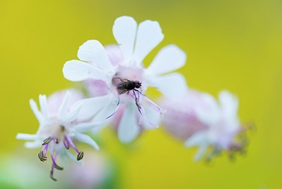 BUITEN BEELD Foto: 207217