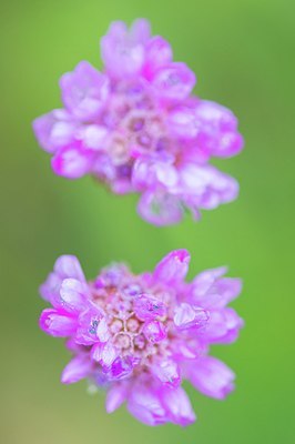 BUITEN BEELD Foto: 207236