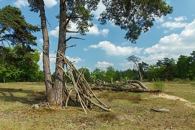 BUITEN BEELD Foto: 207297