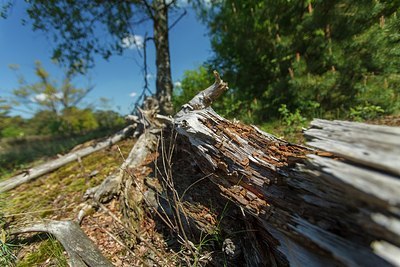 BUITEN BEELD Foto: 207305