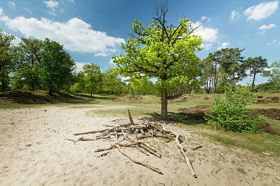 BUITEN BEELD Foto: 207318