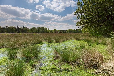 BUITEN BEELD Foto: 207323