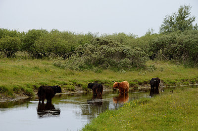 BUITEN BEELD Foto: 207335