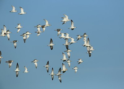 BUITEN BEELD Foto: 207423