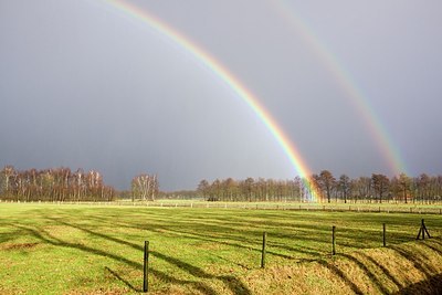 BUITEN BEELD Foto: 207441