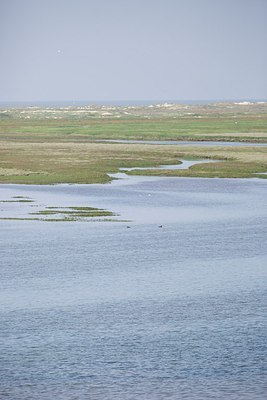 BUITEN BEELD Foto: 207746