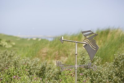 BUITEN BEELD Foto: 207756