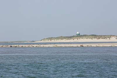 BUITEN BEELD Foto: 207769