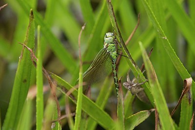 BUITEN BEELD Foto: 207776