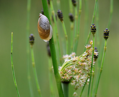 BUITEN BEELD Foto: 207791