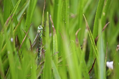 BUITEN BEELD Foto: 207802