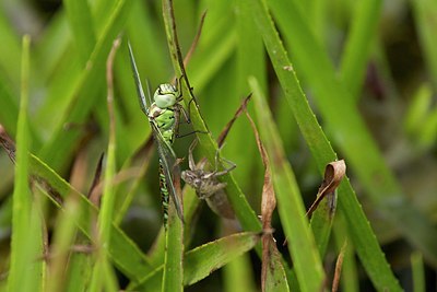 BUITEN BEELD Foto: 207817