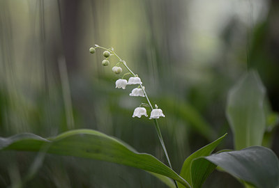 BUITEN BEELD Foto: 207869