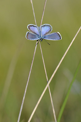 BUITEN BEELD Foto: 207956