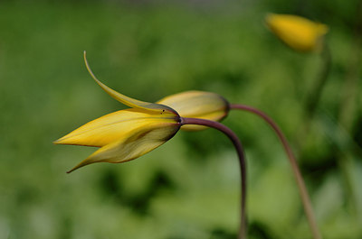 BUITEN BEELD Foto: 207993