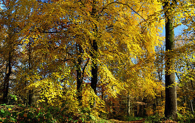 BUITEN BEELD Foto: 208003