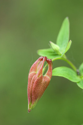 BUITEN BEELD Foto: 208014