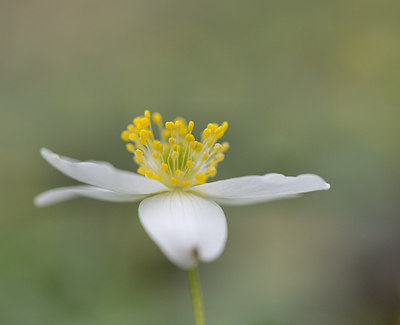 BUITEN BEELD Foto: 208041