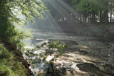 BUITEN BEELD Foto: 208181