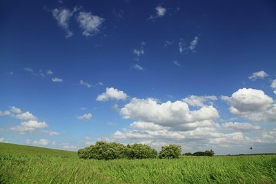 BUITEN BEELD Foto: 208226