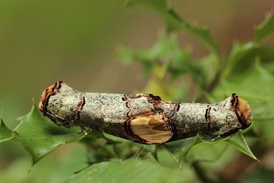 BUITEN BEELD Foto: 208245