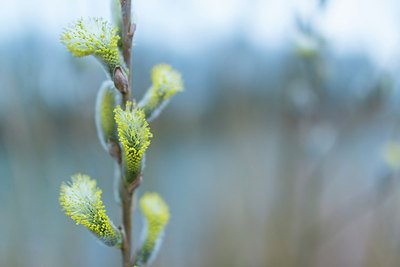 BUITEN BEELD Foto: 208264