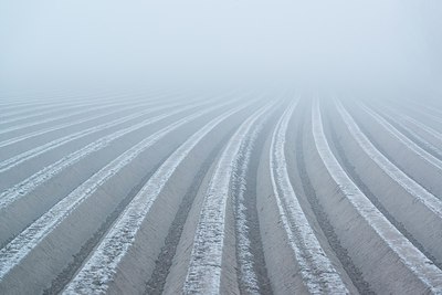BUITEN BEELD Foto: 208272