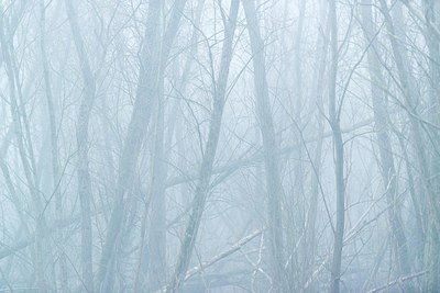 BUITEN BEELD Foto: 208273