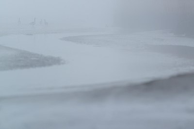 BUITEN BEELD Foto: 208277