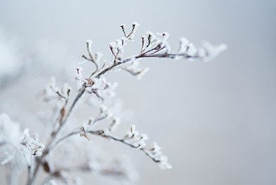 BUITEN BEELD Foto: 208278