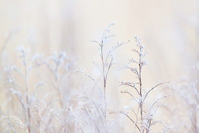 BUITEN BEELD Foto: 208282