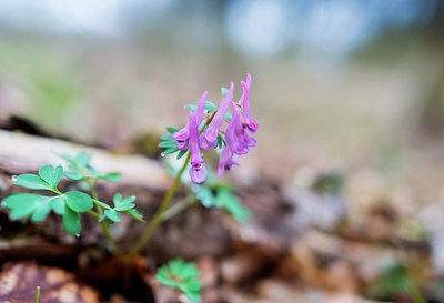 BUITEN BEELD Foto: 208284