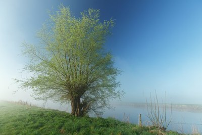 BUITEN BEELD Foto: 208338