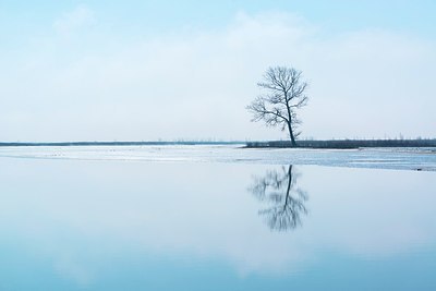 BUITEN BEELD Foto: 208340