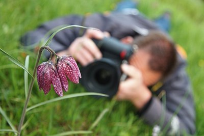 BUITEN BEELD Foto: 208342