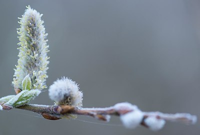 BUITEN BEELD Foto: 208344