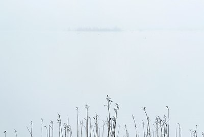 BUITEN BEELD Foto: 208357