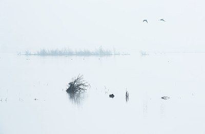 BUITEN BEELD Foto: 208360