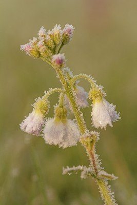 BUITEN BEELD Foto: 208384