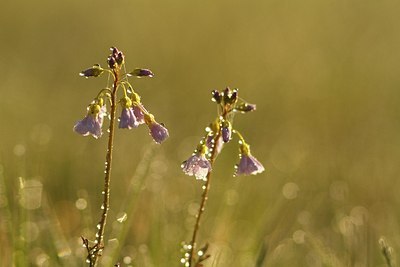 BUITEN BEELD Foto: 208392