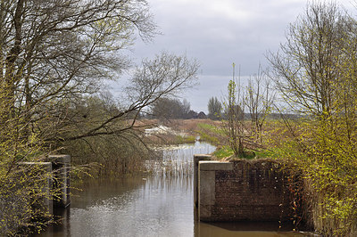 BUITEN BEELD Foto: 208441