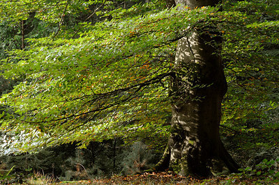 BUITEN BEELD Foto: 208443