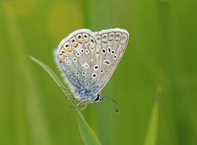 BUITEN BEELD Foto: 208447