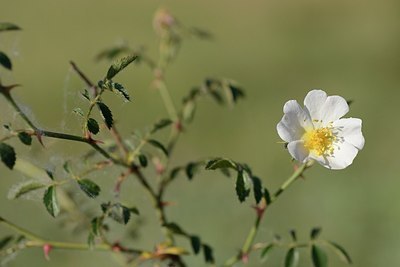 BUITEN BEELD Foto: 208494