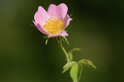 BUITEN BEELD Foto: 208495